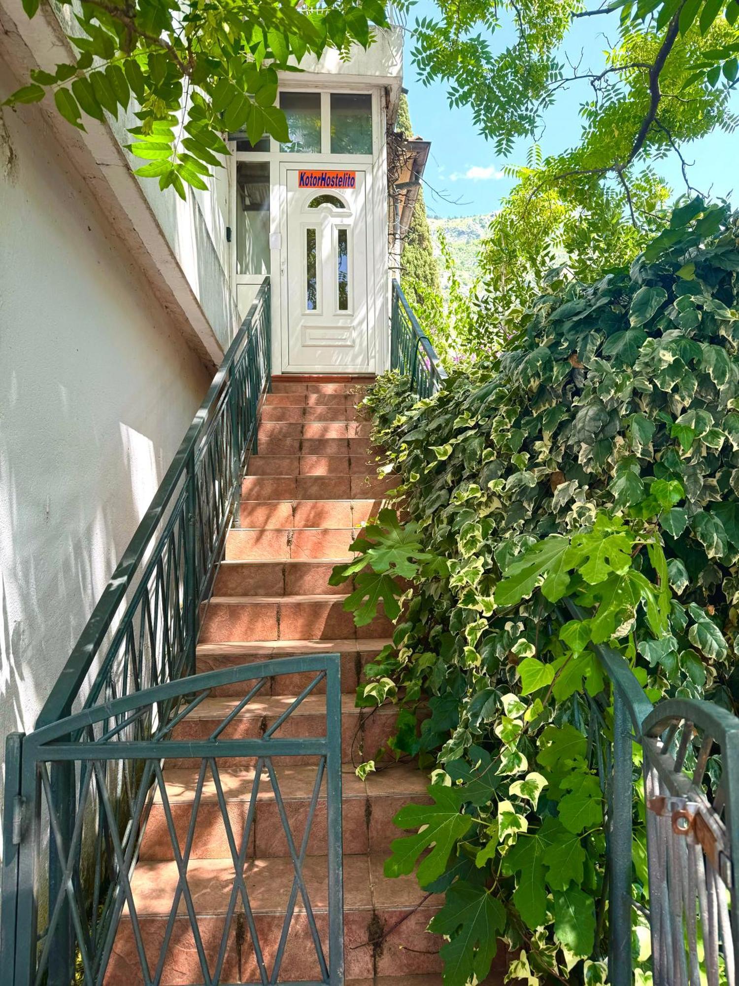 Kotorhostelito Εξωτερικό φωτογραφία